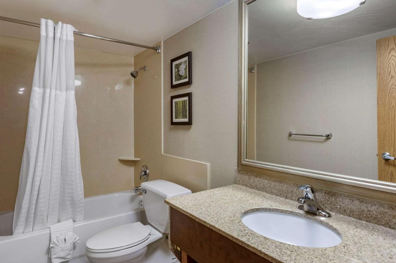 Comfort Lansing